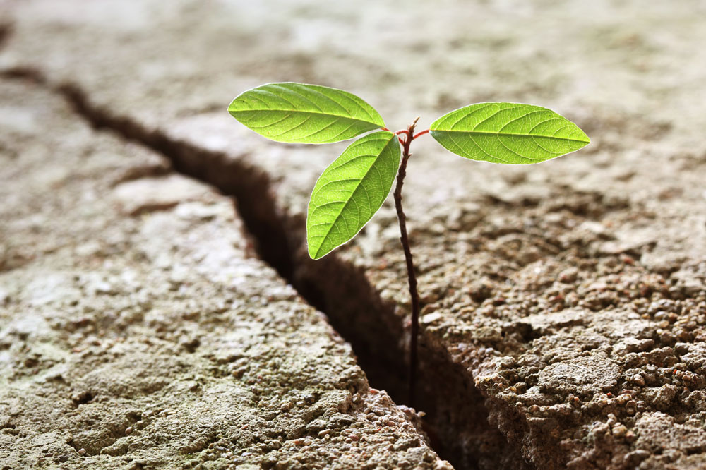 Historical-Perspective-When-Adversity-breeds-Resilience-top-I.J.-Singh
