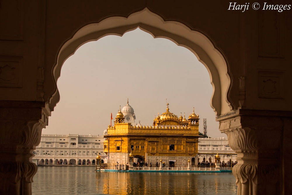 High School Essay Help Essay On Golden Temple In Punjabi Face Of Africa Germany English Essays For Students also Narrative Essay Example High School Math Assignment Help Engineering Assignment Help Online Essay On English Essays Topics
